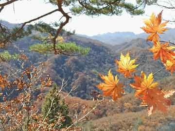 怎么創(chuàng)造自己的掃碼點(diǎn)餐系統(tǒng)小程序？